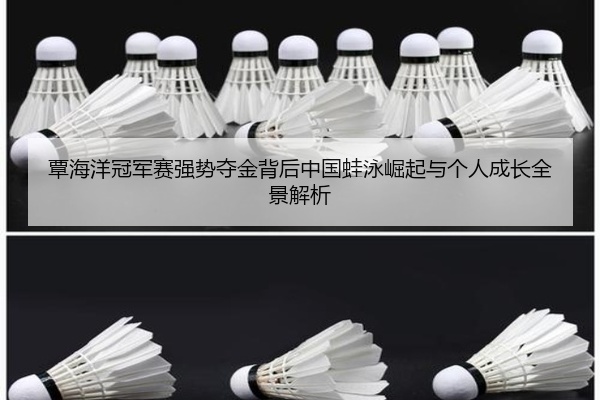 覃海洋冠军赛强势夺金背后中国蛙泳崛起与个人成长全景解析